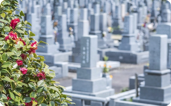 ご遺骨を引き取り(イメージ)